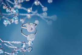 Case studies showcasing real-world software solutions by JTek